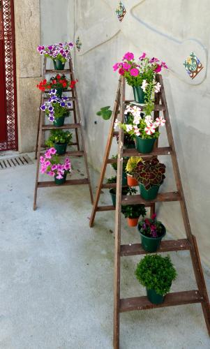 dukes corner guest house