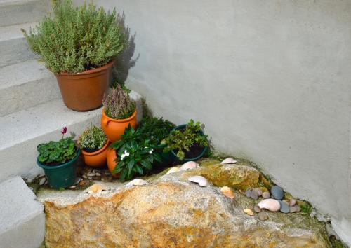 dukes corner guest house