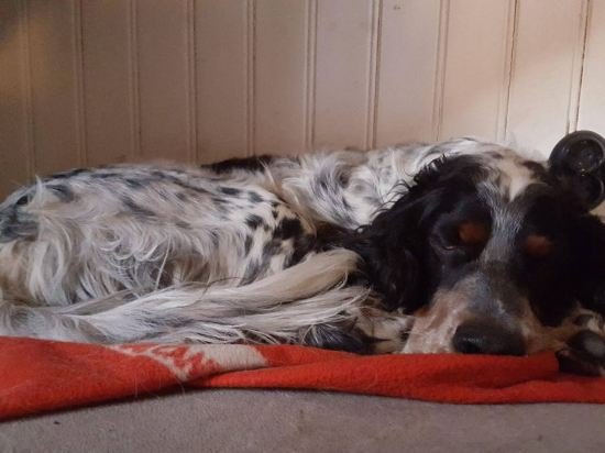 varmdovagen bandb cottage