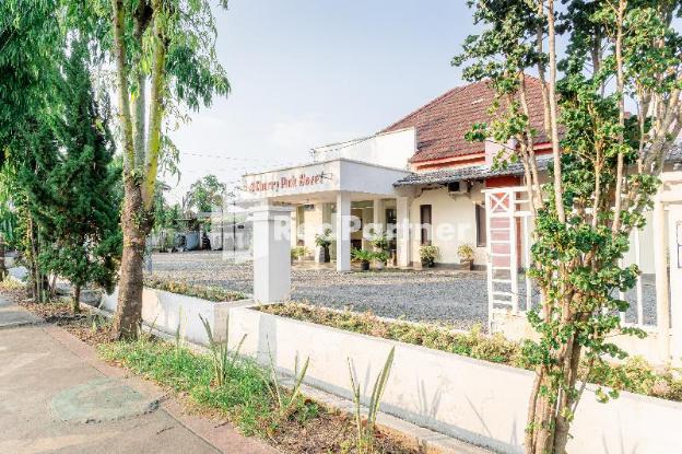 cherry pink hotel medan mitra reddoorz