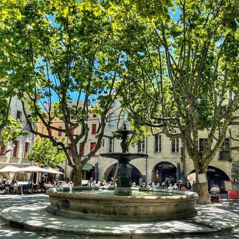 la bastide des pins