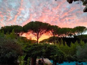 la bastide des pins