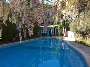 la bastide des pins