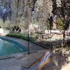 la bastide des pins