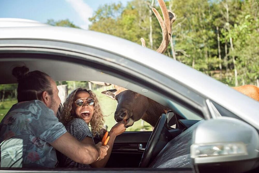 notre dame de bonsecours