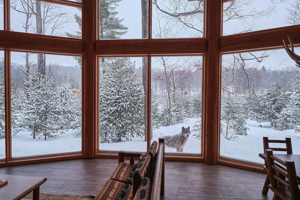 notre dame de bonsecours