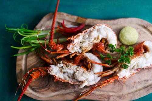 owl and the pussycat