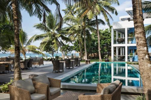 owl and the pussycat