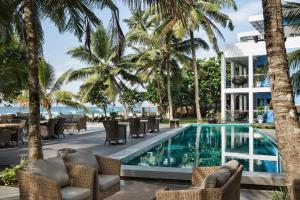 owl and the pussycat