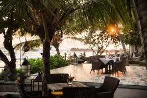 owl and the pussycat