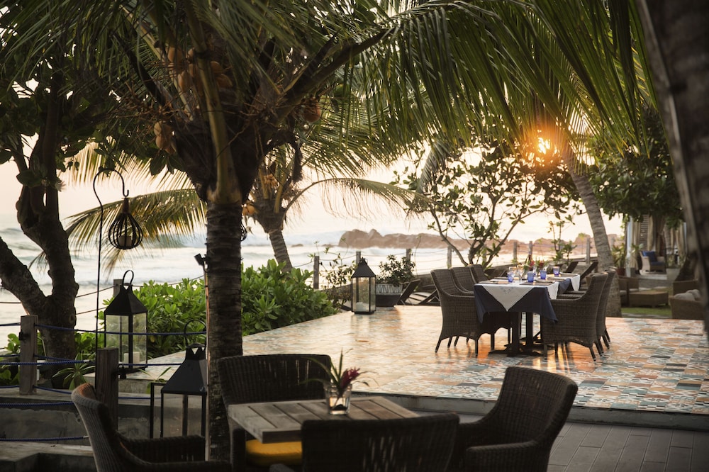 owl and the pussycat