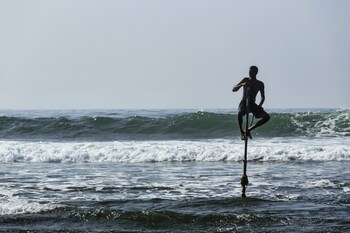 owl and the pussycat