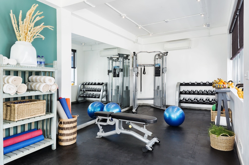 owl and the pussycat