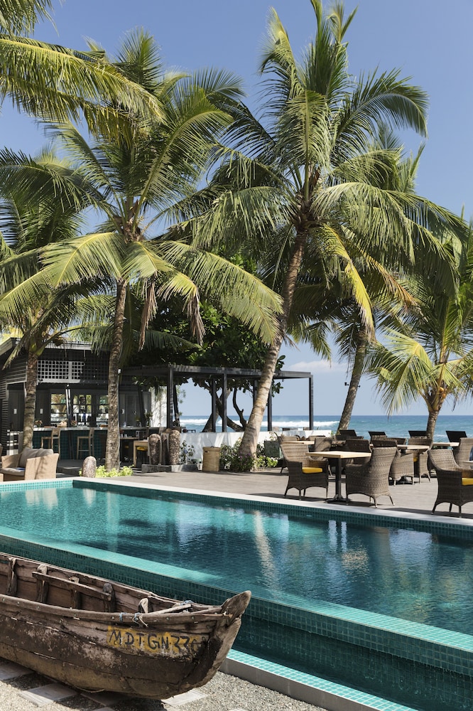 owl and the pussycat