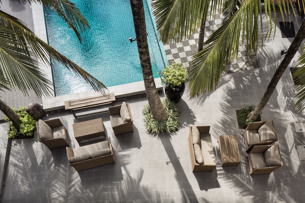 owl and the pussycat