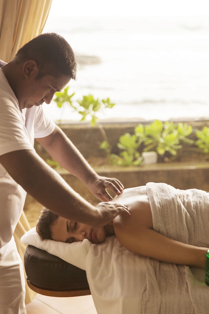 owl and the pussycat