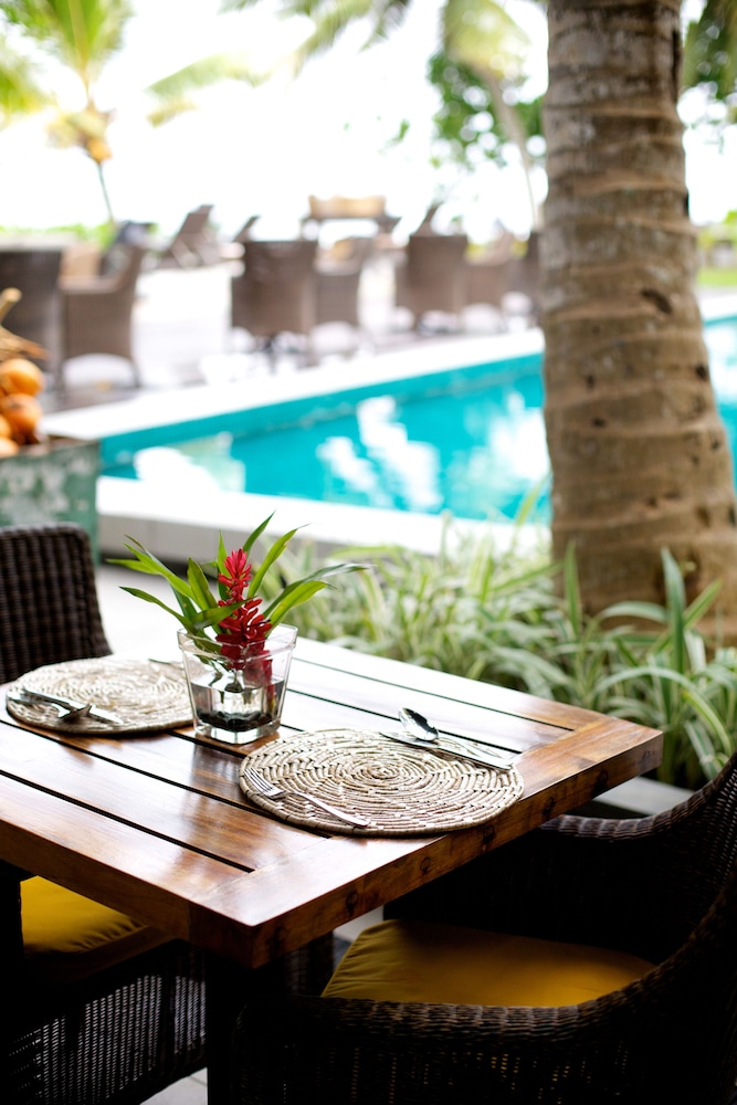 owl and the pussycat