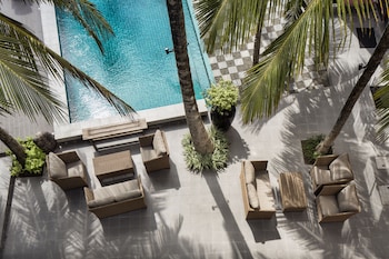 owl and the pussycat