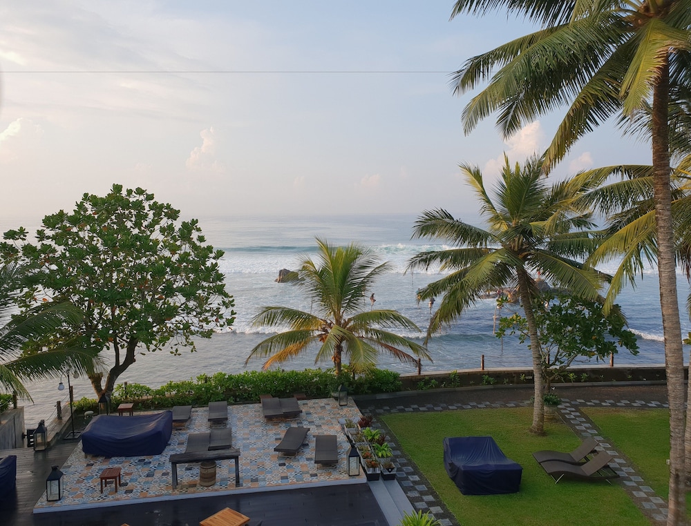 owl and the pussycat