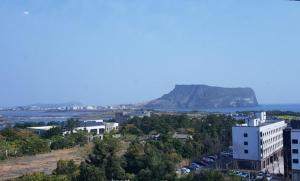 the best jeju seongsan hotel