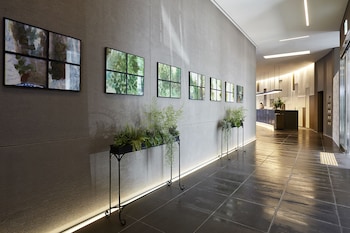 nine tree by parnas seoul myeondong 2