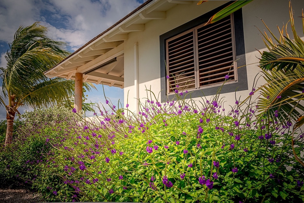 windhoek resort bonaire