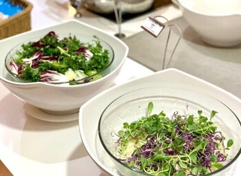 coop city hotel seongsan