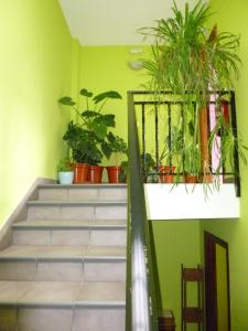 hostal ciudad de najera