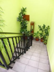 hostal ciudad de najera