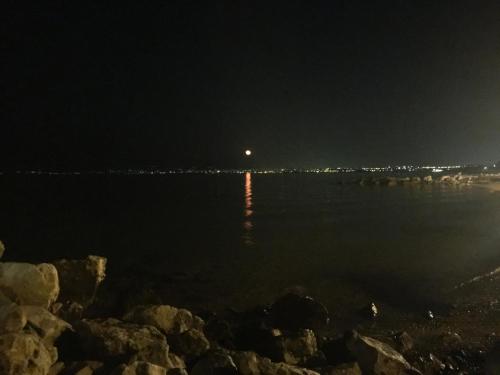 chris studios and apartments