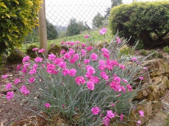 apartamentos la quintana de romillo