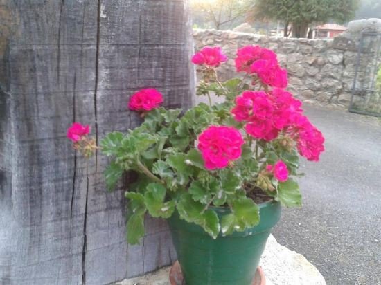 apartamentos la quintana de romillo