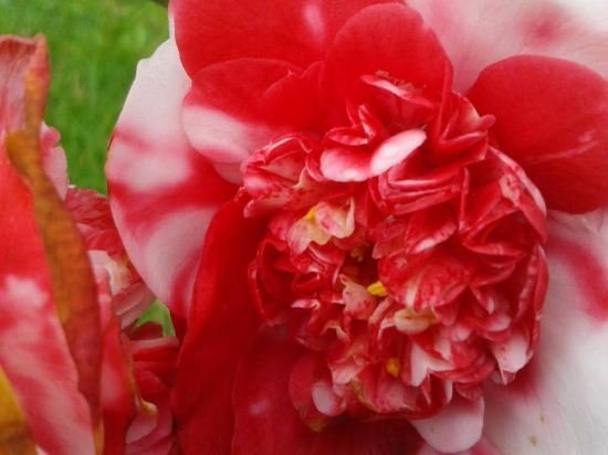 apartamentos la quintana de romillo