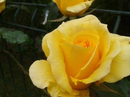 apartamentos la quintana de romillo