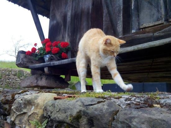 apartamentos la quintana de romillo