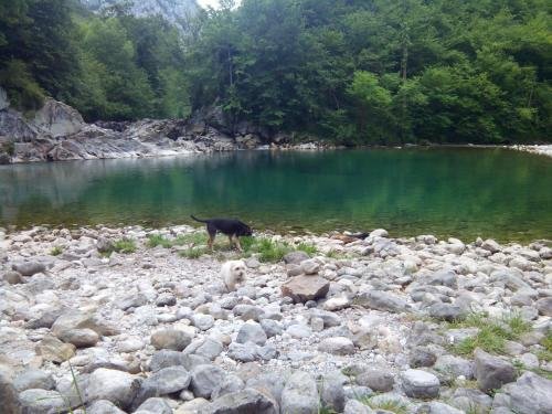 apartamentos la quintana de romillo