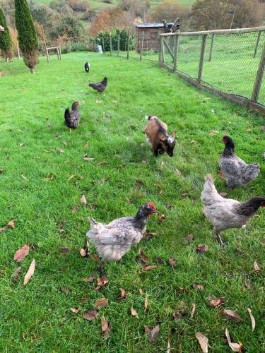 apartamentos la quintana de romillo