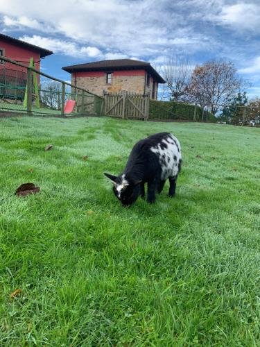 apartamentos la quintana de romillo