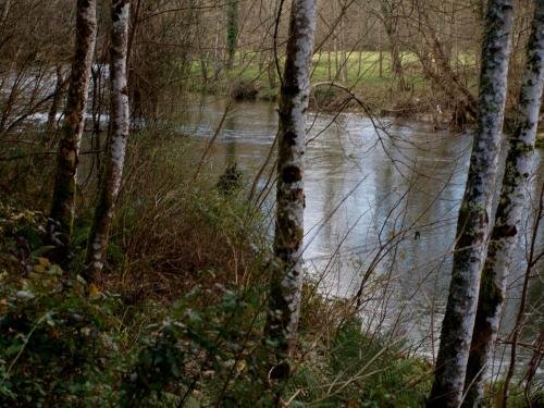 Apartamentos La Quintana De Romillo,,0 star