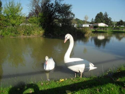 camping le marqueval