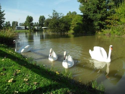 camping le marqueval