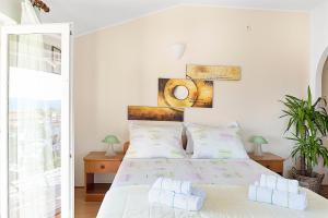 jimy apartments