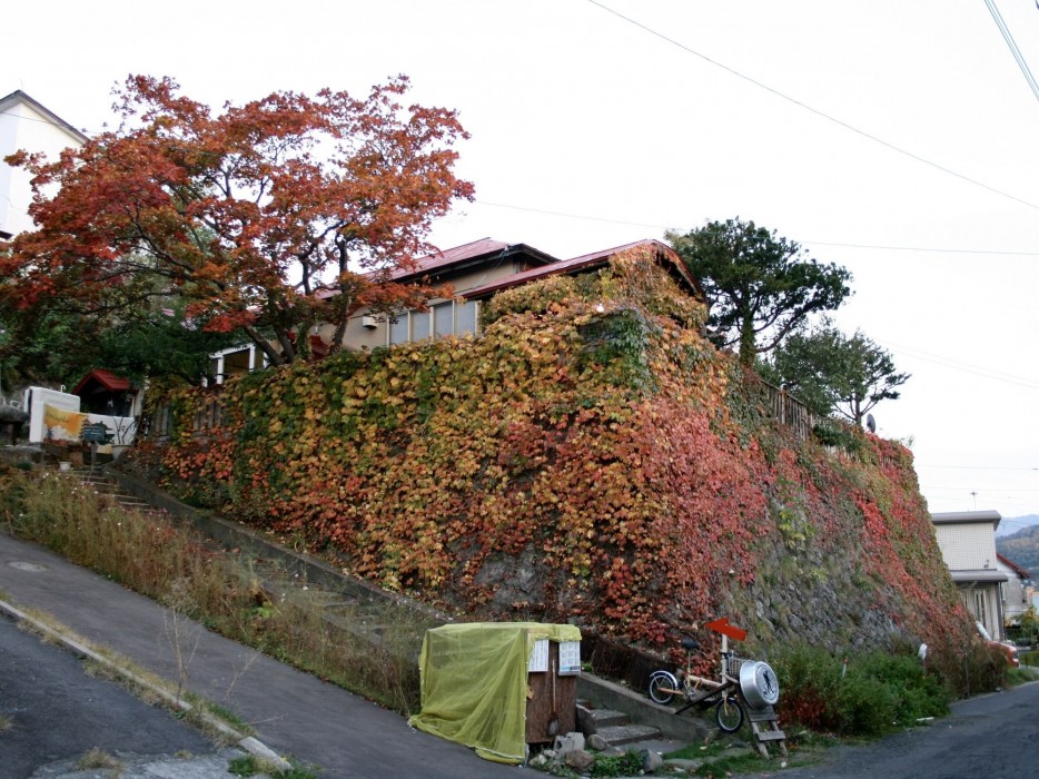 Otarunai Backpackers' Hostel Morinoki,Sapporo>>Otaru,1 star
