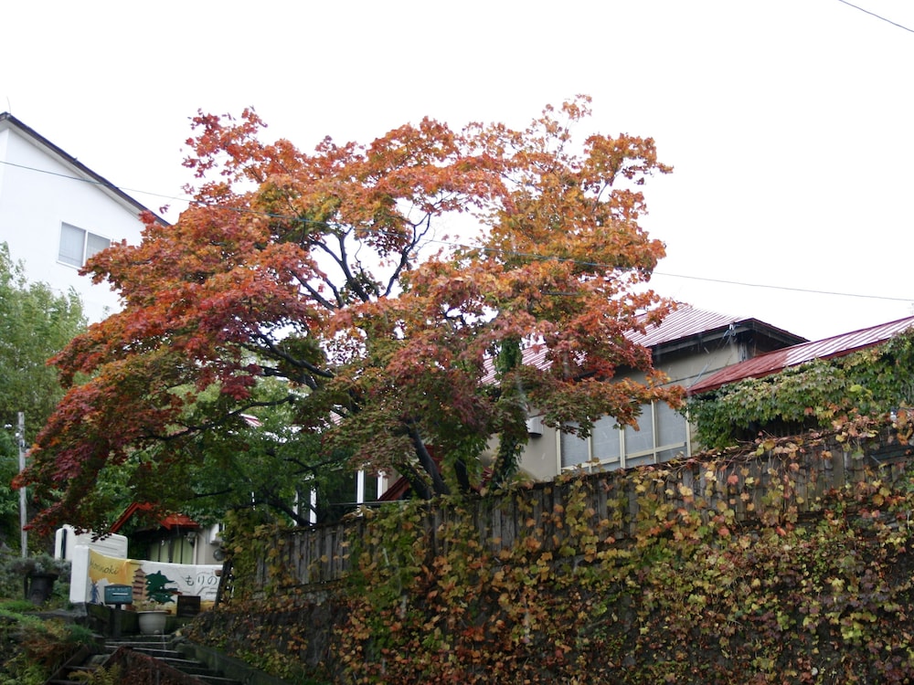 otarunai backpackers hostel morinoki
