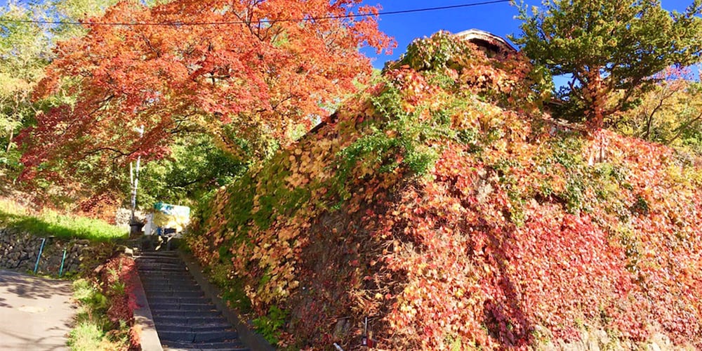 otarunai backpackers hostel morinoki