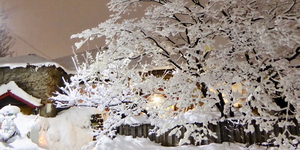 otarunai backpackers hostel morinoki