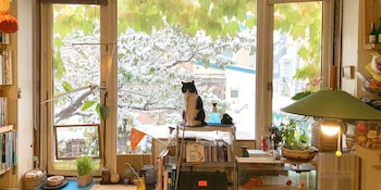 otarunai backpackers hostel morinoki