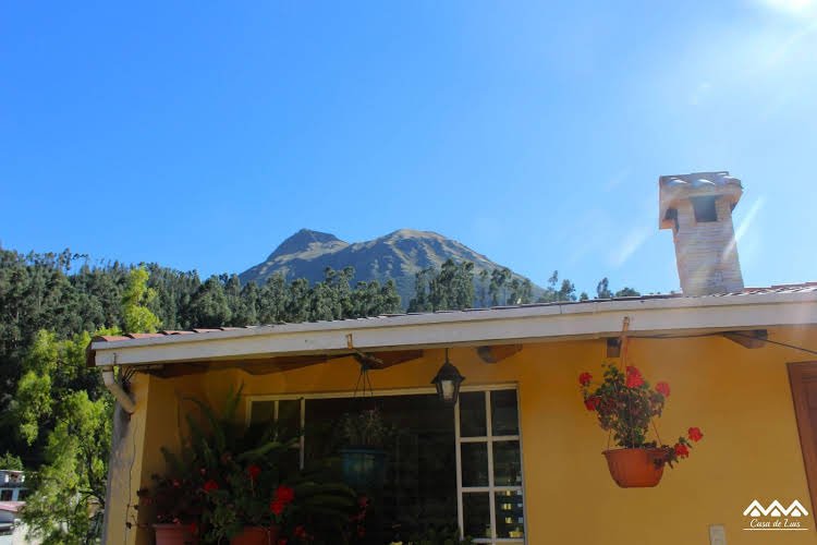 casa de luis