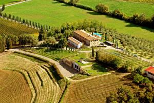 fattoria fibbiano