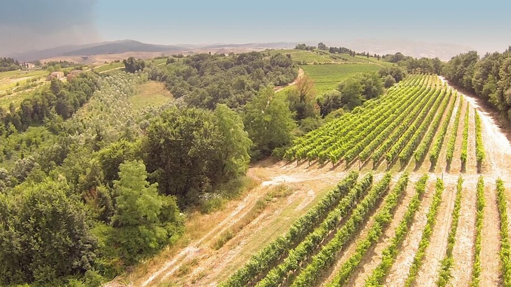 fattoria fibbiano
